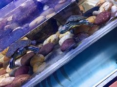 -梦幻海洋王国(吾悦广场张家港店)