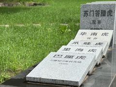 -横道河子东北虎林园