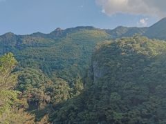 -千岛湖石林