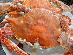 -包不同知味(嵊泗店)