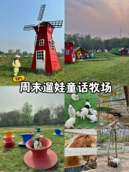 -268童话露营农场·烧烤·团建