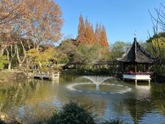 -上海醉白池公园
