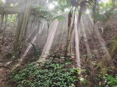 -青青世界