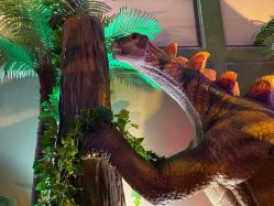 -恐龙探索乐园(磁器口店)