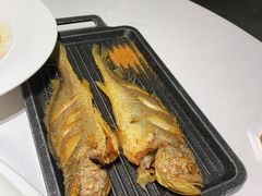 小黄鱼-潮粤香海鲜酒楼(沙湖店)