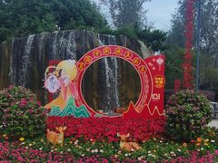 -合肥滨湖国家森林公园