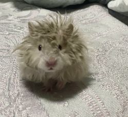 -Oasis Beauty水磨坊科技美肤中心