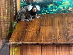 -上海昆虫博物馆