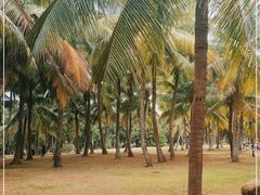 -白沙门生态公园