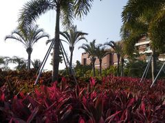 -宝安西湾红树林湿地公园