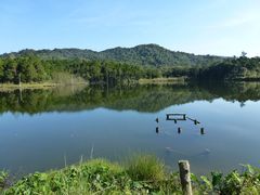 -海南热带雨林国家公园吊罗山景区