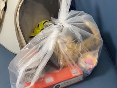 -北京观赏动物医院·24小时大型综合·猫专科·异宠专科