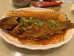 -真定郝家排骨(正定县总店)