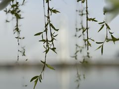-咸阳湖景区