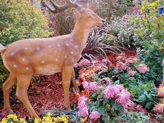 -上海共青森林公园