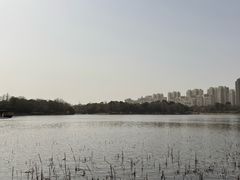 -南翔镇银翔湖公园