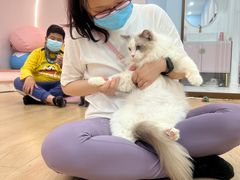 -1013 PET SHOP 宠物商店(近铁城市广场店)