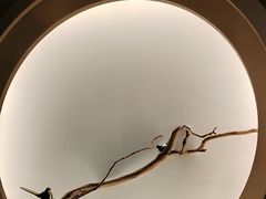 -广州酒家(中华广场店)