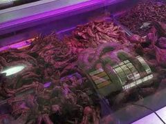 -湘黑鸭(总店)