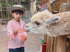 -杭州开元森泊度假乐园