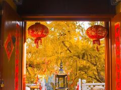 -西园戒幢律寺
