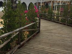 -马大胡子清真西北菜