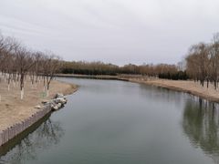 -大兴滨河森林公园