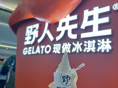 -野人先生现做冰淇淋(北京王府井东方新天地店)