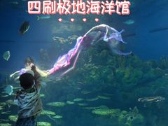 -海合安武汉极地海洋公园