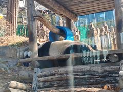 -大连森林动物园