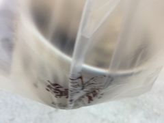 -鲜芋仙(太原街万达店)