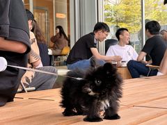 -SAANCI山池咖啡(海上世界文化艺术中心店)