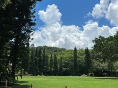 -深圳仙湖植物园