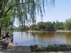 -泰丰公园