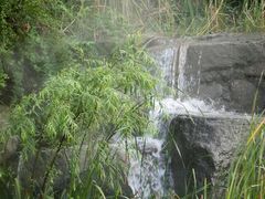 -暨阳湖生态园