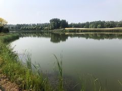 -东郊湿地公园