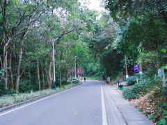 -火炉山森林公园