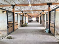 -北京群众马术培训基地
