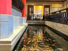 -龙悦湾酒家·八阵鱼生·渔人码头店