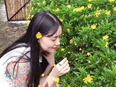-远山有窑