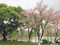 -苏堤停车场