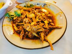 凉拌鸡-院8里·少城记忆老川菜(宽窄巷子店)