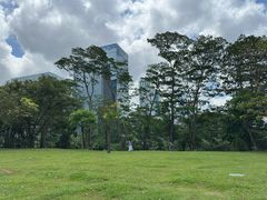 -莲花山公园