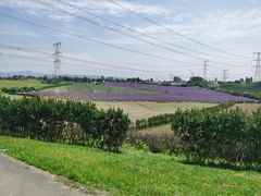 -紫颐香薰山谷景区