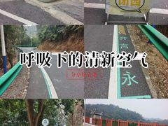 -佛山市三水区大南山森林公园
