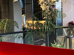 -徽州府·花漫里