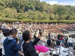 -黄记煌三汁焖锅(新世纪广场店)