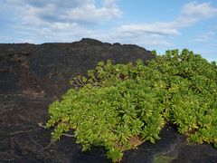 -夏威夷火山国家公园