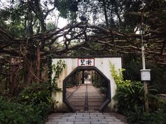 -广西壮族自治区药用植物园