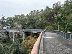 -金鸡山公园